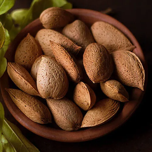 Mandorle Siciliane Tuono in Guscio Zeus – Frutta Secca Siciliana